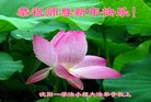 ֹ,󷨵ӹףʦ(21)