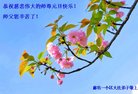 ֹ,ȷ󷨵ӹףʦ(25)