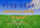 ֹ,ϴ󷨵ӹףʦ(19)