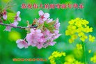 ֹ,ӱ󷨵ӹףʦ(23)