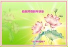 ֹ,㶫󷨵ӹףʦ(29)