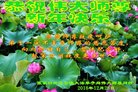 ֹ,żҿڴ󷨵ӹףʦ(22)