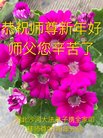 ֹ,ӱ󷨵ӹףʦ(23)