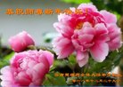 ֹ,ϴ󷨵ӹףʦ(19)