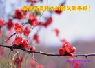ֹ,󷨵ӹףʦ(23)