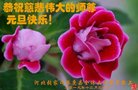 ֹ,żҿڴ󷨵ӹףʦ(25)