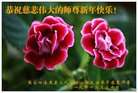 ֹ,żҿڴ󷨵ӹףʦ(25)