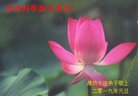 ֹ,Ϋ󷨵ӹףʦ(27)