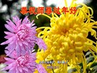 ֹ,󷨵ӹףʦ(20)