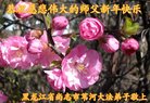 ֹ,󷨵ӹףʦ(23)