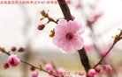 ֹ,󷨵ӹףʦ(22)