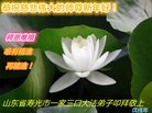 ֹ,Ϋ󷨵ӹףʦ(26)