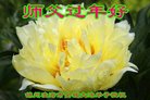 ֹ,ݴ󷨵ӹףʦ(22)