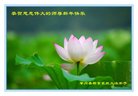 ֹ,󷨵ӹףʦ(21)