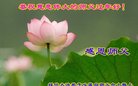ֹ,󷨵ӹףʦ(21)
