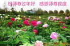 ֹ,ݴ󷨵ӹףʦ(22)