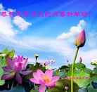ֹ,󷨵ӹףʦ(24)