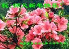 ֹ,󷨵ӹףʦ(23)