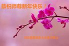 ֹ,ӱ󷨵ӹףʦ(29)