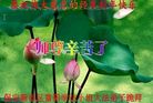 ֹ,󷨵ӹףʦ(25)