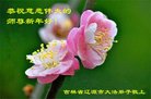 ֹ,ʡ󷨵ӹףʦ(20)