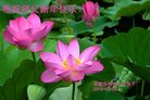 ֹ,մ󷨵ӹףʦ(24)