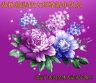 ֹ,󷨵ӹףʦ(21)