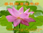 ֹ,󷨵ӹףʦ(22)
