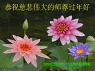 ֹ,ʡ󷨵ӹףʦ(24)