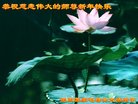 ֹ,󷨵ӹףʦ(28)