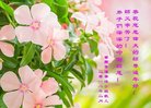 ֹ,󷨵ӹףʦ(21)