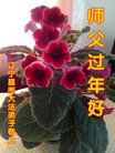 ֹ,󷨵ӹףʦ(25)