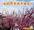 ֹ,󷨵ӹףʦ(23)
