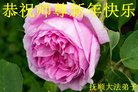 ֹ,󷨵ӹףʦ(19)