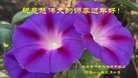 ֹ,󷨵ӹףʦ(24)