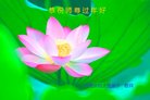 ֹ,ϴ󷨵ӹףʦ(26)
