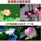ֹ,󷨵ӹףʦ(19)