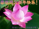 ֹ,󷨵ӹףʦ(22)