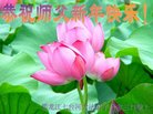 ֹ,󷨵ӹףʦ(20)