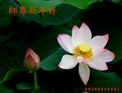 ֹ,󷨵ӹףʦ(23)