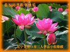 ֹ,󷨵ӹףʦ(19)
