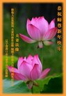 ֹ,󷨵ӹףʦ(19)