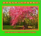 ֹ,ʯׯ󷨵ӹףʦ(26)