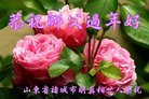 ֹ,Ϋ󷨵ӹףʦ(25)