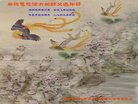 ֹ,д󷨵ӹףʦ(24)