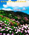 ֹ,󷨵ӹףʦ(24)