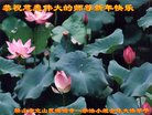 ֹ,󷨵ӹףʦ(26)