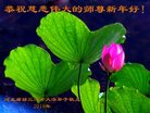 ֹ,ȷ󷨵ӹףʦ(24)
