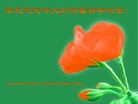 ֹ,ȷ󷨵ӹףʦ(24)