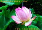 ֹ,ϴ󷨵ӹףʦ(30)